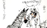 ببینید گورخر آفریقایی چرا تلف شد؟!