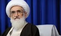نوری‌همدانی: با هر شکلی این موضوع حل گردد