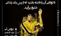 هایلایت (282)