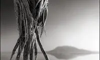 دریاچه ای که حیوانات را تبدیل به سنگ می کند