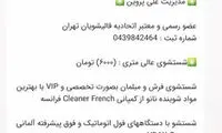 واکنش پروین به شباهت اسمی با یک قالیشویی