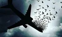 فرهاد مجیدی: به این سوگ ملی احترام بگذارید