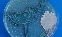 خلق آثار هنری با استفاده ازمیکروب و باکتری