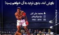 هایلایت (279)