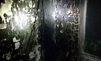 نجات نوجوان معلول ذهنی از میان آتش