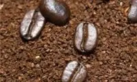 استفاده از تفاله قهوه به جای آسفالت