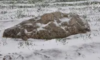 تنها با یک قدم می‌توانید این قله را فتح کنید!
