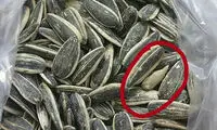 شوخی‌های جالب شبکه‌های اجتماعی (۴۹۸)