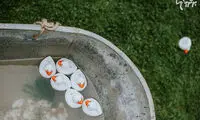 حمام عمومی، آغازگر بازگشت به زندگی اجتماعی