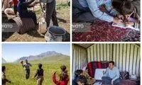 تصاویری خاص از معلم عشایر کوچ‌نشین