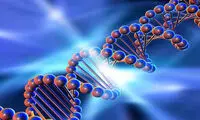 مولکول DNA جایگزین هارد دیسک می شود