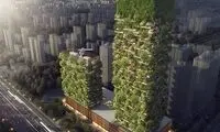 اولین جنگل عمودی آسیا در چین