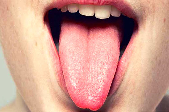 مزه را مغز تشخیص می‌دهد یا زبان؟