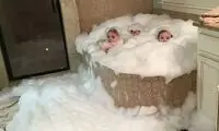وقتی بچه‌ها را تنها می‌گذارید چه اتفاقی می‌افتد؟