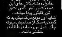 واکنش تند قاسمخانی به طرح برخورد با سگ‌گردانی