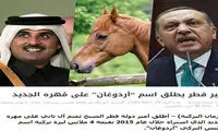 امیر قطر، نام اسب خود را «اردوغان» گذاشت