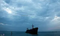 مهمان ناخوانده جزیره کیش