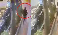 سارقان گردنبند علی دایی دستگیر شدند