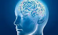 روشی جدید برای افزایش حافظه مغز