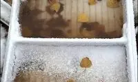 تصاویر: مناطق زلزله زده در محاصره برف...