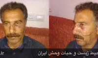 ضرب و شتم شدید محیط بان ایلامی +عکس
