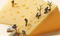 آثار شگفت انگیز یک هنرمند ژاپنی +عکس