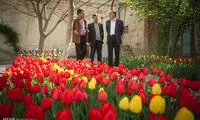 خانه ای به رنگ لاله ها +عکس