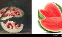 هندوانه و موز قبلا این شکلی بودند!