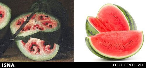 هندوانه و موز قبلا این شکلی بودند!