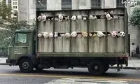 هنرمندان خیابانی که باید آن ها را بشناسید