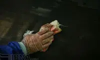 یادآوری خاطرات سوخته سال قبل! (۱۶+)
