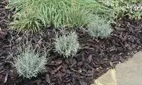 8 راه برای صرفه جویی در مصرف  آب