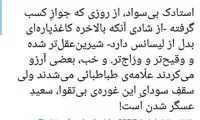 کنایه دهباشی به توئیت رائفی‌پور