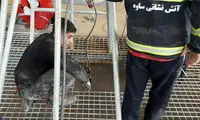 جسد کارگر گرفتار در سیلو بیرون آورده شد