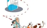 کارتون: مستقیم «گاو»!