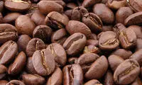 چطور عملکرد شناختی مغز را افزایش دهیم؟