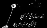 مینی شعر (354)