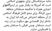 انتقاد تند مطهری از عدم اعتراض ایران به چینی‌ها