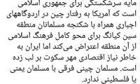 انتقاد تند مطهری از عدم اعتراض ایران به چینی‌ها