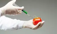 محصولات ارگانیک یا تراریخته، کدام سرطان زا هستند؟