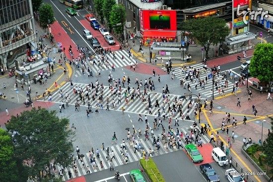 نظم تماشایی شلوغترین تقاطع دنیا در ژاپن