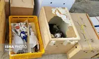 کشف محموله بزرگ قاچاق پرنده در پارسیان