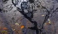 مراقب باشید این نقاشی ها خیستان نکند!