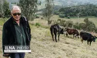 «کیارستمی و عصای گمشده» نامزد ۴ جایزه شد
