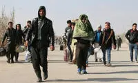 افغان‌ها قسطی به ایران می‌آیند، عراقی‌ها با ماشین