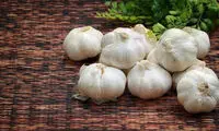غذاهای ضد سرماخوردگی