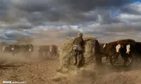 خشکسالی در استرالیا
