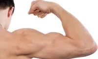 چگونه بدون وزنه عضله بسازید؟