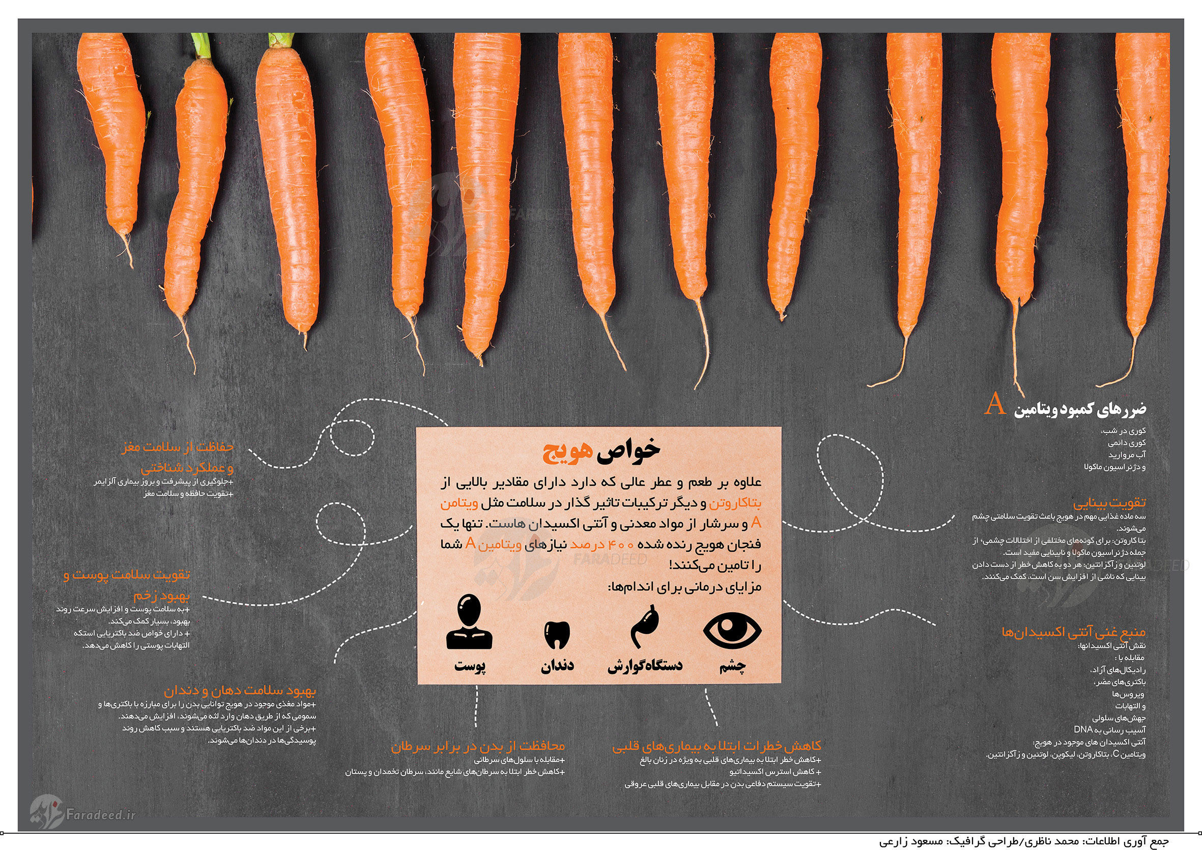 اینفوگرافی: خواص هویج