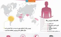 دانستنی هایی درباره ویروس «زیکا»